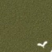 Load image into Gallery viewer, 1900 Bench - Custom Wood Designs 1900 Bench made from [material] – Ideal for [use_case] | Custom Wood Designs
